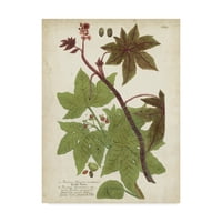 Трговска марка ликовна уметност „Вајнман Тропски растенија II“ платно уметност од Јохан Вајнман