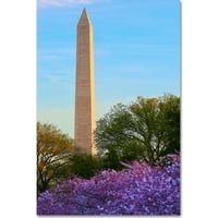 Трговска марка ликовна уметност споменик на Вашингтон пролет платно уметност од Кејтис