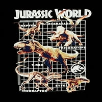 Графички маици на Jurassic Park Boys Pack, големини 4-18