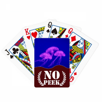 Океан Медуза Наука Природа Слика Ѕиркаат Покер Играње Карти Приватна Игра